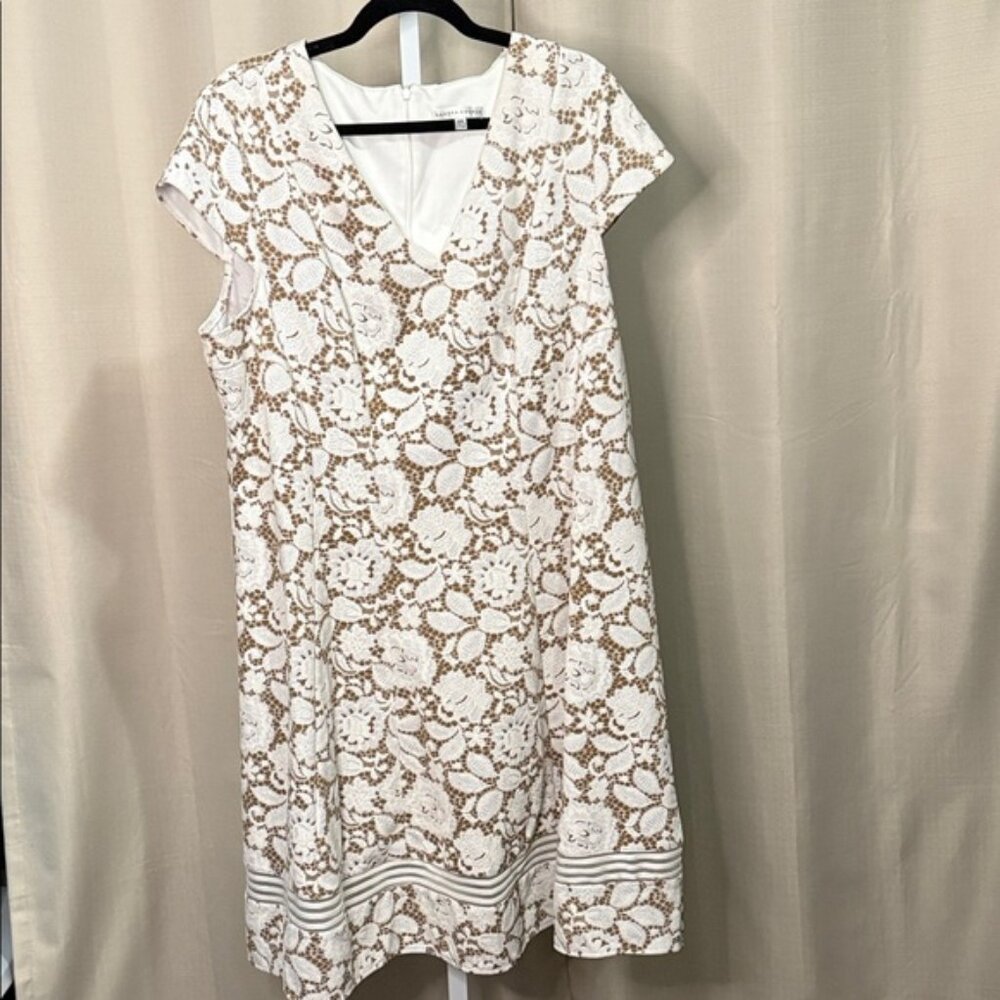 Sandra Darren Cream and Brown Lace Dress